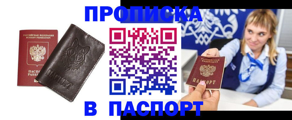 где прописаться в Волосово